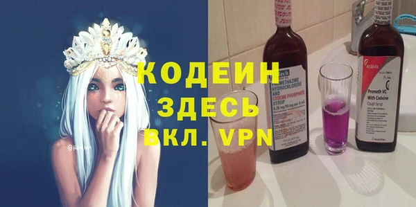 индика Армянск