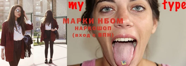 индика Армянск